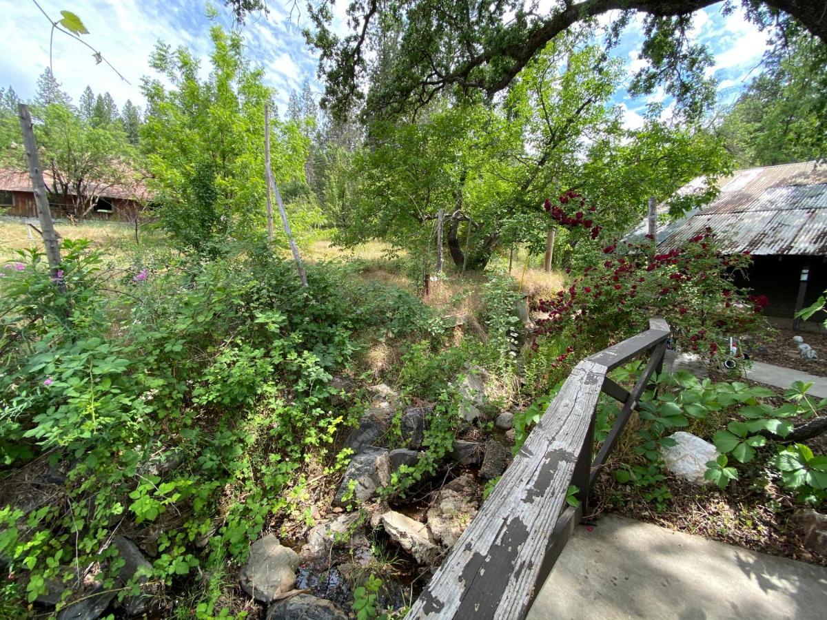 Vans Yosemite Garden Cottage Groveland Buitenkant foto